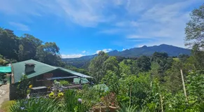 Eco Horqueta - Image 5