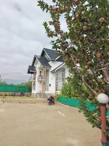 Gulmarg Orchard - Image 2