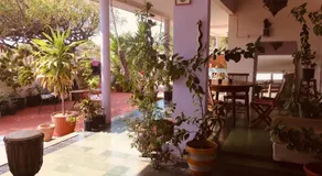 Magical Garden - Image 2