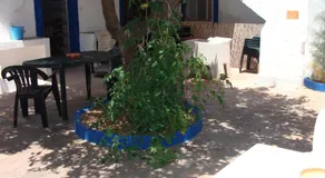 Aguarela Tavira - Image 5