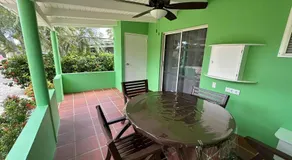 Green Sea Turtle Modern Stay by the Sea - Image 5