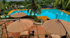 My Little Island Hotel - Image 4