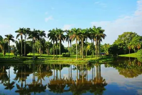 Forest Inn (Danzhou Liangyuan Botanical Garden Branch) - Image 3