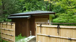 Anzuan Nishida - Image 4