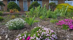 THE FLOWER BEDS Walk to town and beach - Image 4