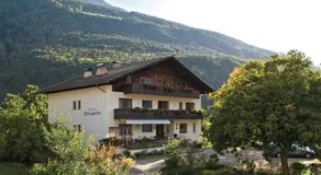 Pension Baumgarten - Image 3