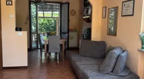 Beb ulivo - Image 4