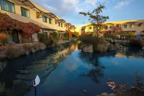 DoubleTree by Hilton Napa Valley American Canyon - Image 4