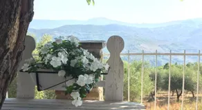 Dolce Luna Casa vacanza - Image 4