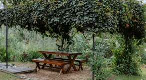 The 6th Milepost Tea Bungalow Bandarawela - Image 3