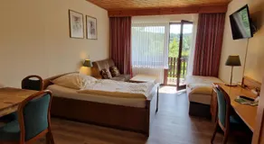 Hotel & Apartmenthaus Zum Pfingsttor - Image 2