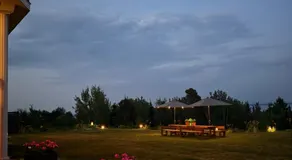 Horizon 777 - Image 5