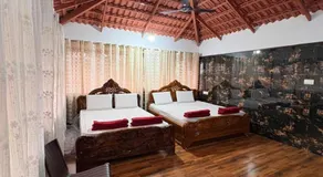 Bougainvillea - Image 2