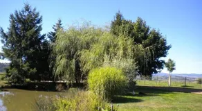 Gîte 80m² avec Terrasse, Wifi et Animaux Acceptés - Image 4
