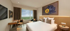 Ginger Dwarka - Image 2