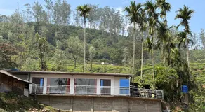Glasshouse Retreat by The Jungle stay groups - Image 4