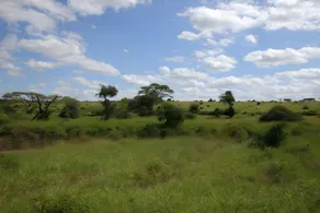 Kenya Inn - Image 3