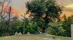 Casa Vacanze Maja e Ermes - Image 2