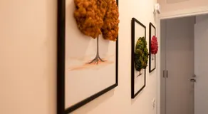 MAMA GUEST HOUSE - Image 3