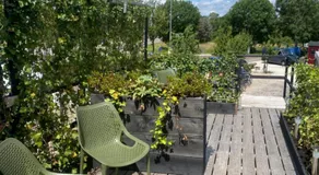 De Bloesem - Image 4