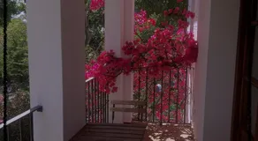 Apartamento Rural Las Palmeras - Image 5