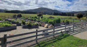 Pub in the Paddock - Image 5