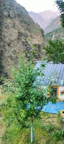 Ambar Cottage - Image 4
