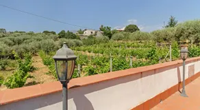 Malicodia - Image 4