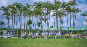 Finca Hotel La Molienda Quindiana - Image 5