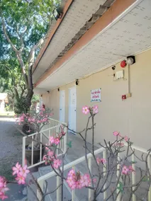 Hongthong - Image 4