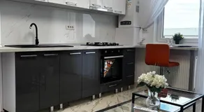 Anastasia Dragonul Roșu Spitalul Fundeni - Image 3