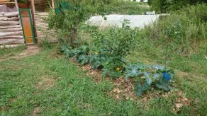 Tente en permaculture pirate - Image 2