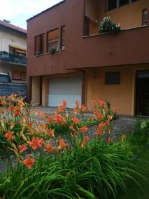 Bolek mansion - Image 3