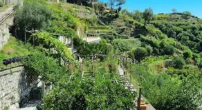 A casa di nonna Elvira - Image 4