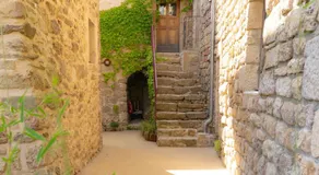 Domaine de l'arbre nouveau - Image 5