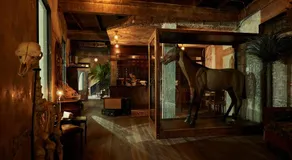 The Mustang Blu - Image 4