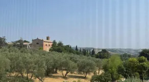 LOCANDA OLIVI affitta camere - Image 4
