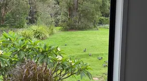 The Ponds at Mudgeeraba - Image 5