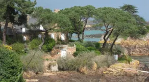Men Joliguet - Image 4