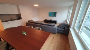DHG Luxury Apartments  Zurich-Wollishofen - Image 4