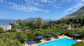 Aristotelis - Image 2