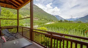 Hof Schupfer - Alpstay - Image 2