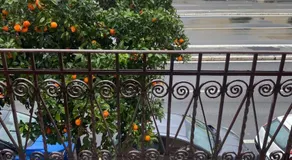 Locanda Miccheletto - Image 2