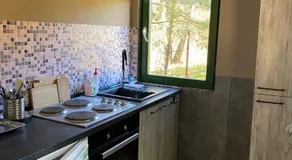 Agroturystyka Oaza Ciszy i Spokoju - Image 4