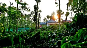 Coffee Crown Homestay - 1km to Falls, Home Food, Estate, Pvt Rooms, Villa, - Image 2