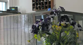 Don Luis Hostal - Sucursal Hidalgo - Tecolutla - Image 4