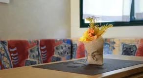 SAFARI CAMPING - Image 3