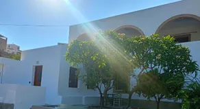 Limonletto - Image 2