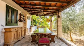 House Peace - Image 5