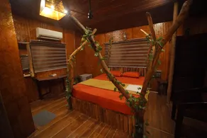One Of the Best Forest Stay In Kerala - Image 4